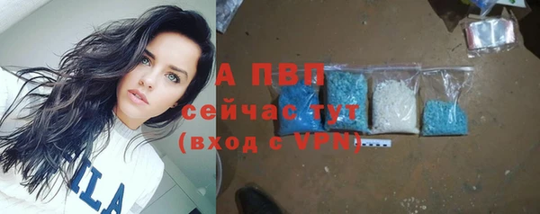 молекула духа Магадан