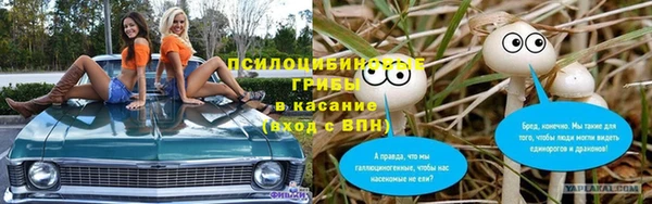 эйфоретик Богородск