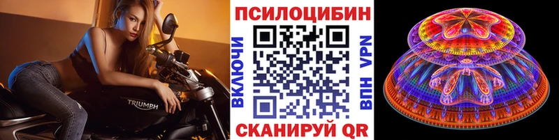 Галлюциногенные грибы Psilocybe  Тырныауз 